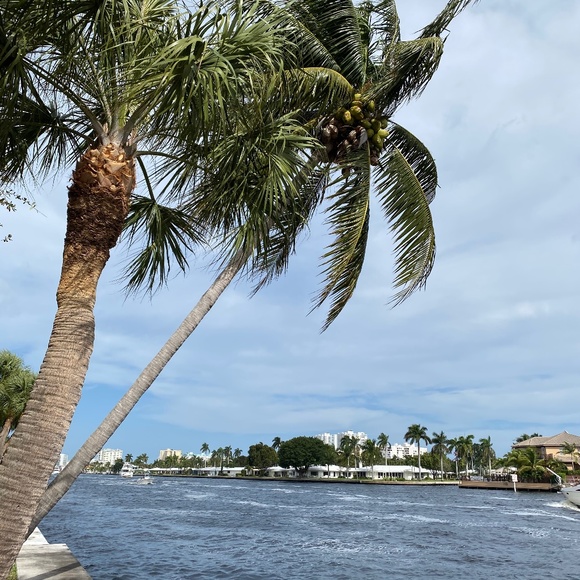 Meet your Posher - Picture 1 of 1